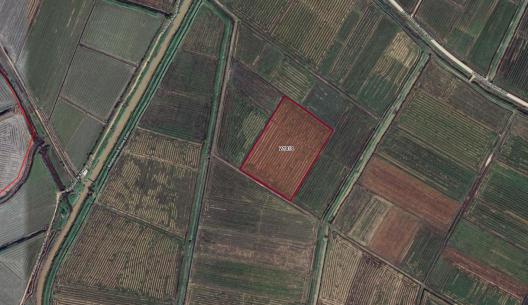 YES Sevgi'den İpsala Balabancık'ta Satılık Tarla